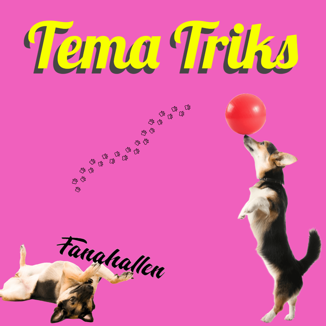 Tema Triks – Fanahallen AS